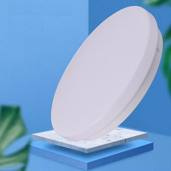 24W IP65 Auto on off Radar Microwave Motion Sensor LED Wall Lamp Corridor Lighting Hallway Patio Yard Warehouse LED Bulkhead Ceiling Light